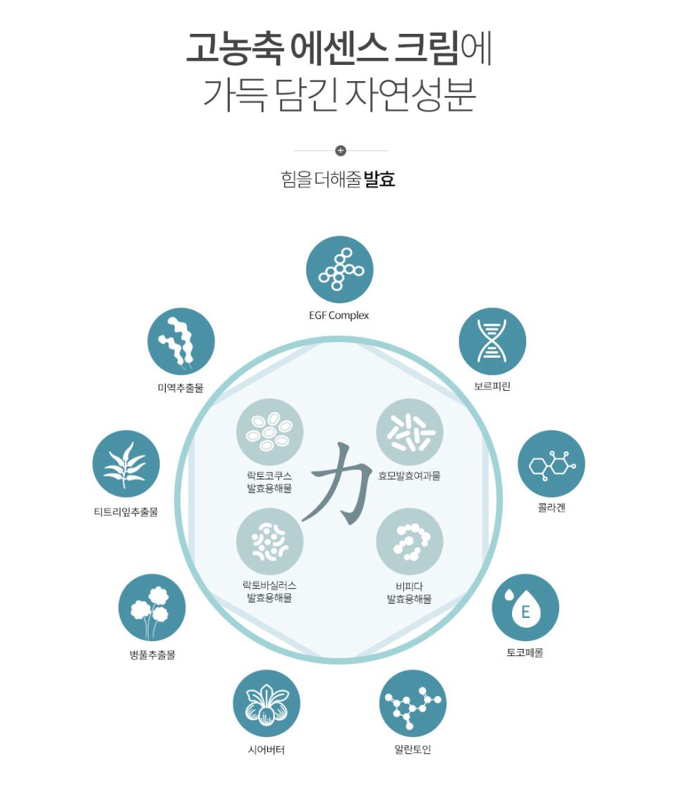 [Daycell] Goeun Dill Fermented Cream Mask (Essence Cream 15 g + Powder 0.5 g)